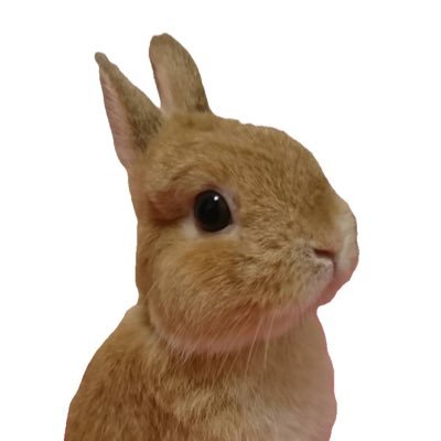 I’m a rabbit lover living with my pet a rabbit, Cinnamon. Thank you.