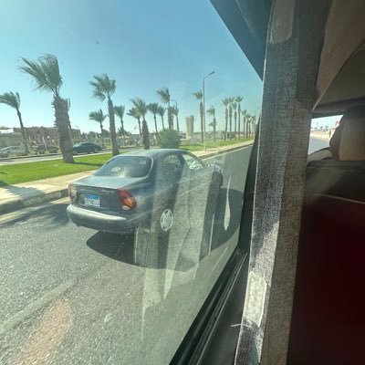 tb_______667's profile picture. 