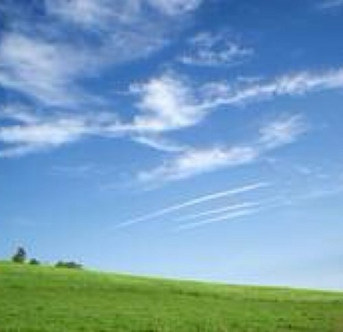 nytolax's profile picture. Go green