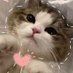 ผู้พิทักษ์รอยยิ้ม-♡ (@kantida07031617) Twitter profile photo ผู้พิทักษ์รอยยิ้ม-♡ (@kantida07031617) Twitter profile photo