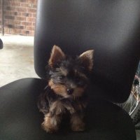 🌴☀️✝️ (@gelisa17) 's Twitter Profile Photo