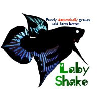 Laby-shake(@LabyShake) 's Twitter Profile Photo