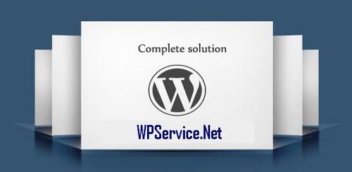 We know WordPress very well that's why we provide our unique services and packages in this platform.