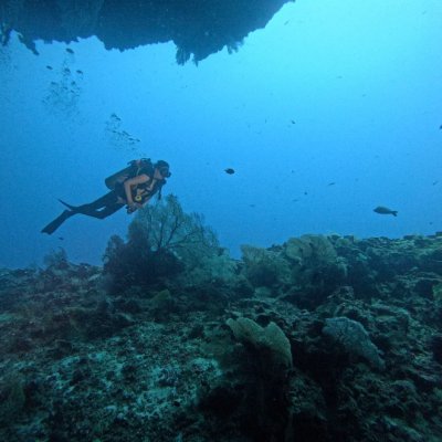 laura_camp83326's profile picture. The best way to predict the future is to create it.