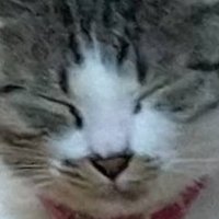 まや (@uni_maya0124_) 's Twitter Profile