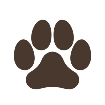 bobbspraut377's profile picture. エンジニア🥚 software engineer