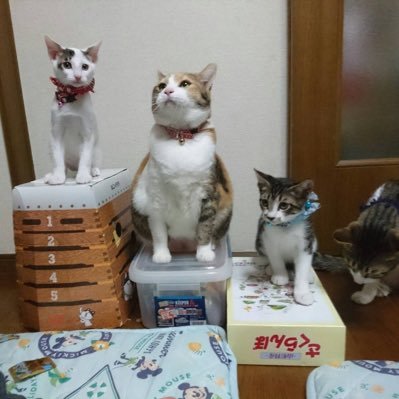 unkonow9311's profile picture. ホイ卒社不