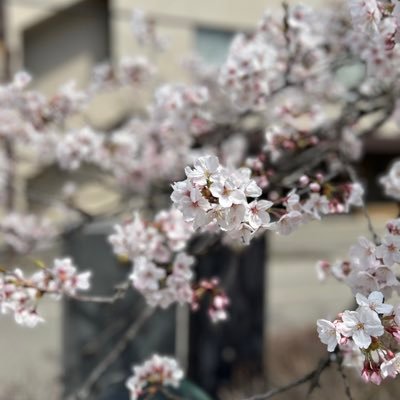 hei_yochan's profile picture.