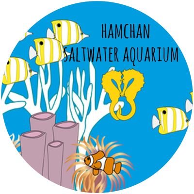 10歳(小4)の時、ネオンテトラから熱帯魚飼育スタート。学生時代は水草水槽に熱中してました。2006年8月宮崎市在住時にマリンアクアを取り入れたビジネスホテルオーナーと知り合い900規格アクリル水槽を同オーナーから譲り受け海水の世界へ。2019年神奈川移住。600×450に縮小。