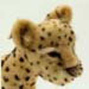 JCorde's profile picture. I am a published fine artist, sculpting with wool fiber. I create with a realistic flair, and also  create wild life and custom pet sculptures.