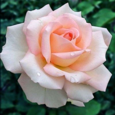 HajjiMoham18258's profile picture. 