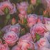 🌺 وِداد 🌺 (@widadangjad) Twitter profile photo 🌺 وِداد 🌺 (@widadangjad) Twitter profile photo