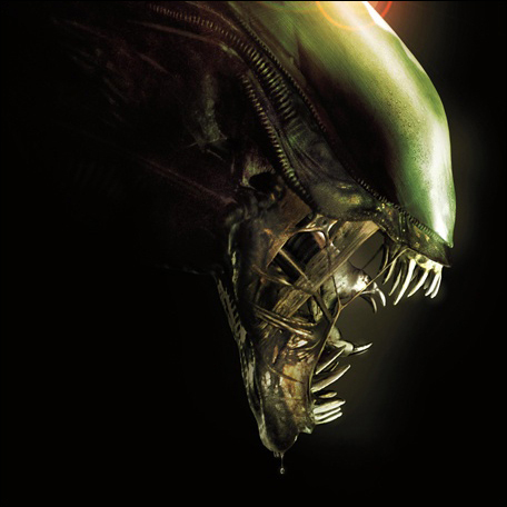 shaungotfuzzed's profile picture. 