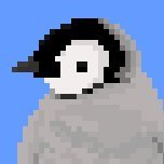 shamer