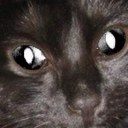 Chris - @chris4mail - Twitter