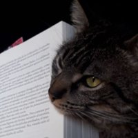 GҽɱɱαSM🐾📚 (@gemmasm78) 's Twitter Profile Photo GҽɱɱαSM🐾📚 (@gemmasm78) 's Twitter Profile Photo