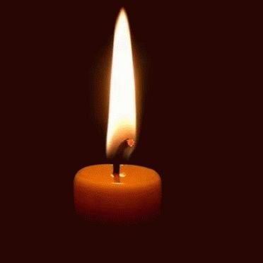 amAlanage's profile picture. A Failure is failure to Adapt, All Sucess is successfull adaptation.