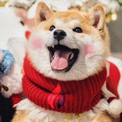 CoinMarket9Cap's profile picture. 