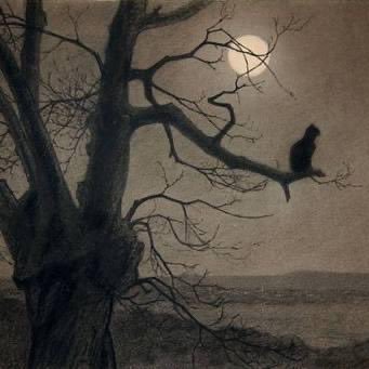 mumsagains45476's profile picture. Survived narcissistic abuse. Articles, quotes, memes to brighten your day.