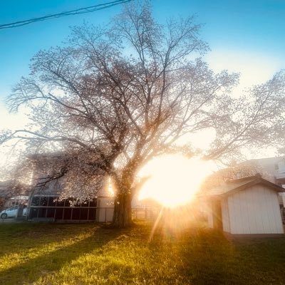 茨城県桜川市で不動産屋してます。アパマン・テナントの仲介から土地建物の販売、売買仲介、資産活用、不動産投資など「不動産の何でも屋」をモットーに営業してます。今年で業界歴26年目になります。宅建取引士/不動産コンサルティングマスター/J-REC公認不動産コンサルティング/賃貸不動産経営管理士/相続診断士/定借プランナー