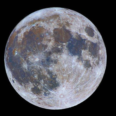 dongeul_circle's profile picture. 개발 하고 싶은 사람