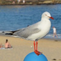 John Jennings (@johnjennings992) 's Twitter Profile Photo