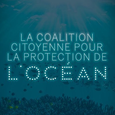 Restaurer la santé de l’océan n’est pas une option, c'est un enjeu vital pour l'ensemble de l'humanité.
Rejoignez la coalition et agissons jusqu'à la victoire.