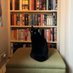 iโll be the one reading (@deepinagoodbook) Twitter profile photo iโll be the one reading (@deepinagoodbook) Twitter profile photo