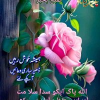 Zahra doll (@muhammadri57760) 's Twitter Profile