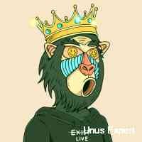 Unus Expert (@unssuexpextr) 's Twitter Profile