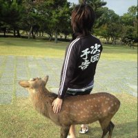 とある会社の編集部員@元わら (@wara_gitadora) 's Twitter Profile