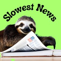slowestnews(@slowest_news) 's Twitter Profile Photo