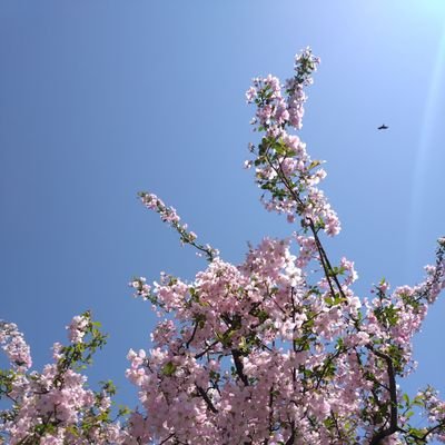 932acfbfa0e943a's profile picture. 本を愛する文芸部元部長。介護福祉士(成人済)。
読書メーターにて感想を載せています。
推し♥️うたプリの来栖翔、黒崎蘭丸、美風藍。原神、刀剣乱舞にも推し多数。沼多数あり。ハマれば長い。プレイ中→ライエモ、原神、刀剣乱舞。雑多垢のため色々呟きます。