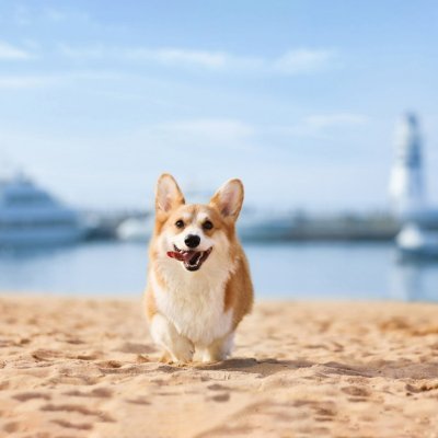 web3yijju's profile picture. web3糕手