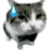 Furry (@furry164009) Twitter profile photo Furry (@furry164009) Twitter profile photo