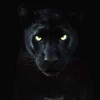 Monujii2 (@monujii21) 's Twitter Profile