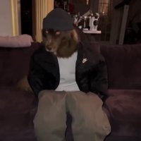 $DAWG(@Dogwifdripbase) 's Twitter Profile Photo