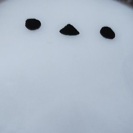 GccNccn82173's profile picture. 高校生だＺＥ★ｷﾗｰﾝ