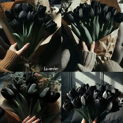 WCaabas's profile picture. .......
.......