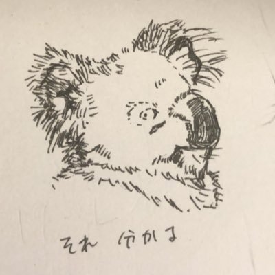 しまちゃさんのプロフィール画像