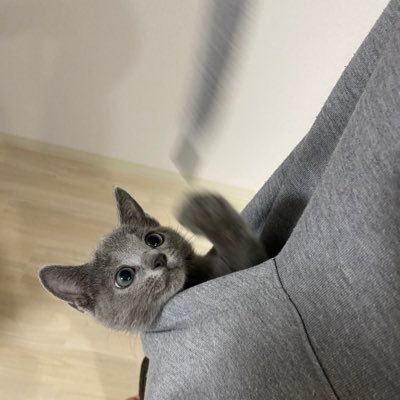 etmtylrn4's profile picture. 26歳フリーランスエンジニア | 🐈と生活してます | 独立に関する相談や質問はいつでもお待ちしてます