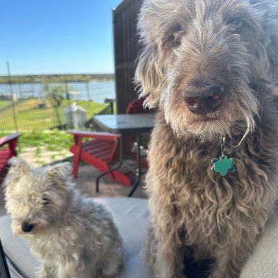 GinsJewel's profile picture. 