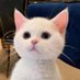 ☀️พิไบ๊ล่ะงับᥫᩣ☀️ (@b2thebright) Twitter profile photo ☀️พิไบ๊ล่ะงับᥫᩣ☀️ (@b2thebright) Twitter profile photo