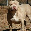 Jerome Newton Jr. - @JJIZZALtheDON - Twitter