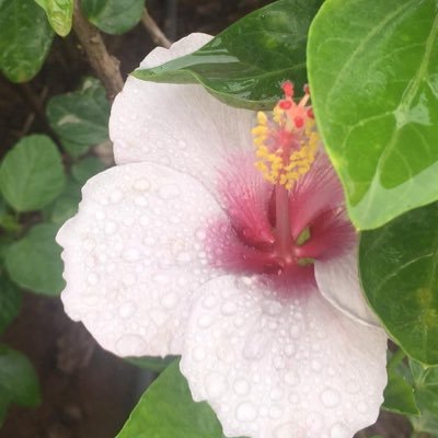 manu010805's profile picture. Keep Calm and Listen to Music