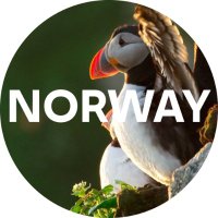 Visit Norway(@visitnorway) 's Twitter Profile Photo