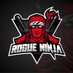 Rogue Ninja (@RogueNinja1791) Twitter profile photo