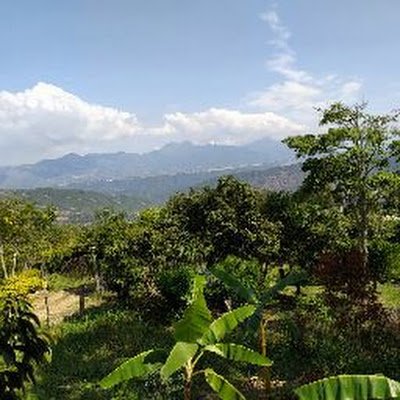 AlejandraC72629's profile picture. 