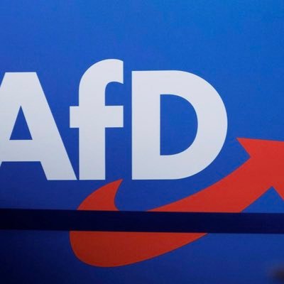 themen über die Afd. last mich eure meinungen wissen! #Afd#alternativefürdeutschland