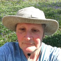 Philip Davidson (@tiptonsaga) 's Twitter Profile